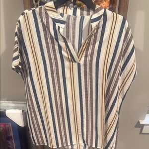 Striped V-Neck Blouse